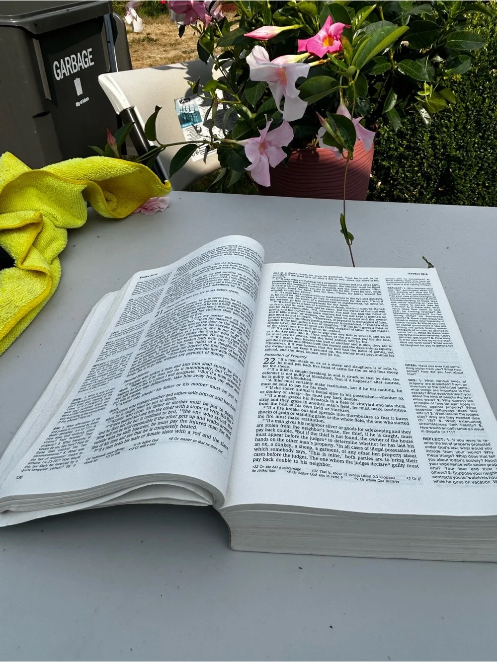 Serendipity Bible for Study Groups - Black
